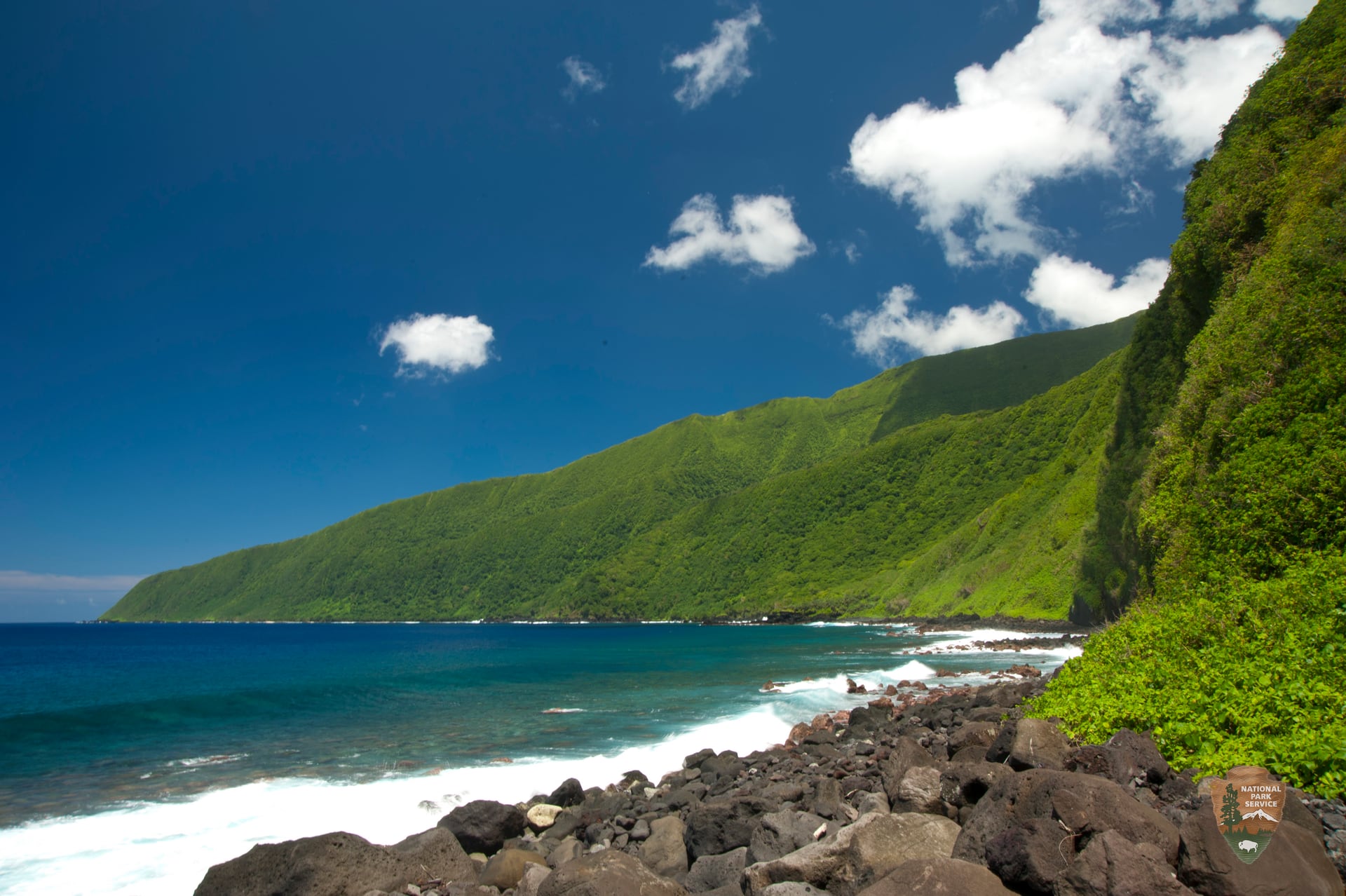 The green sea cliffs and volcanic coast of Ta'u Island