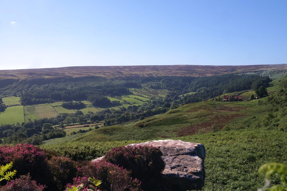 North York Moors