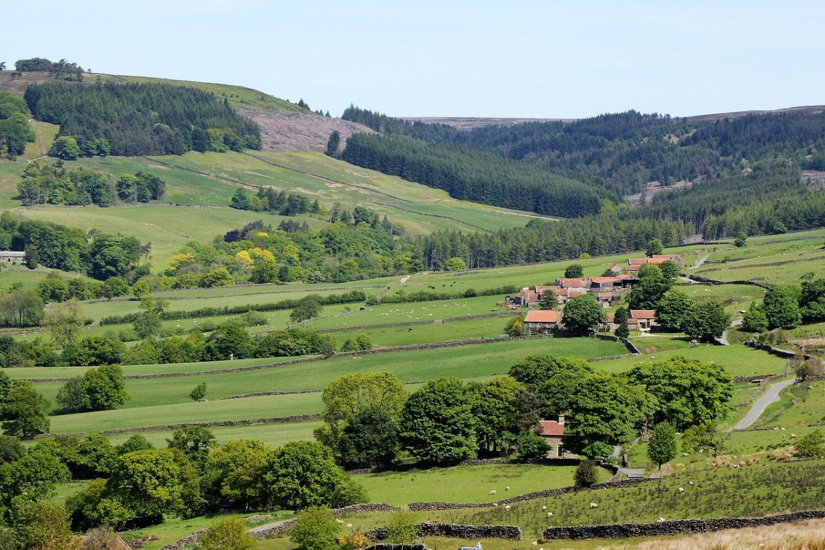 Yorkshire Moors Dales