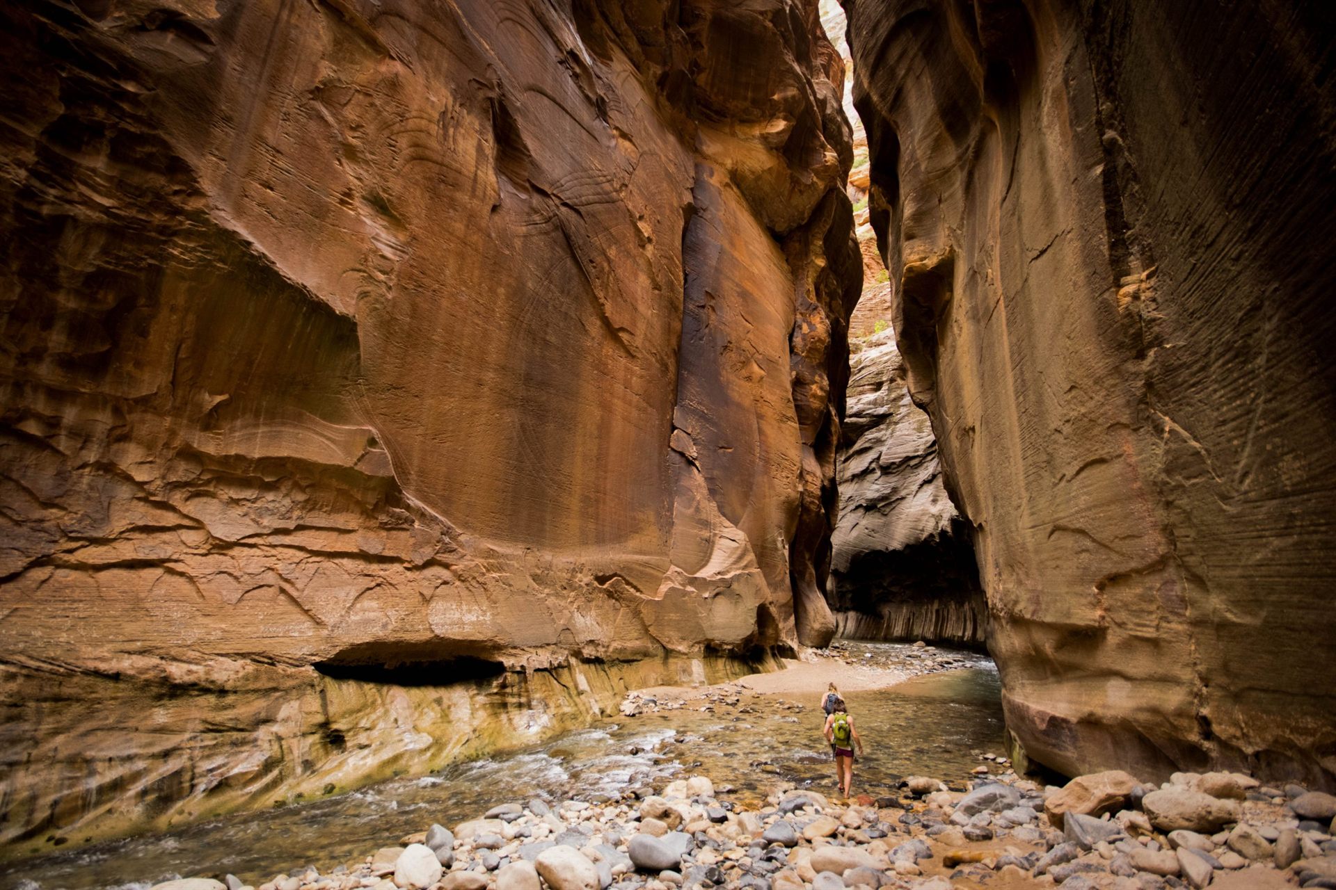 The Narrows, Zion National Park, Utah