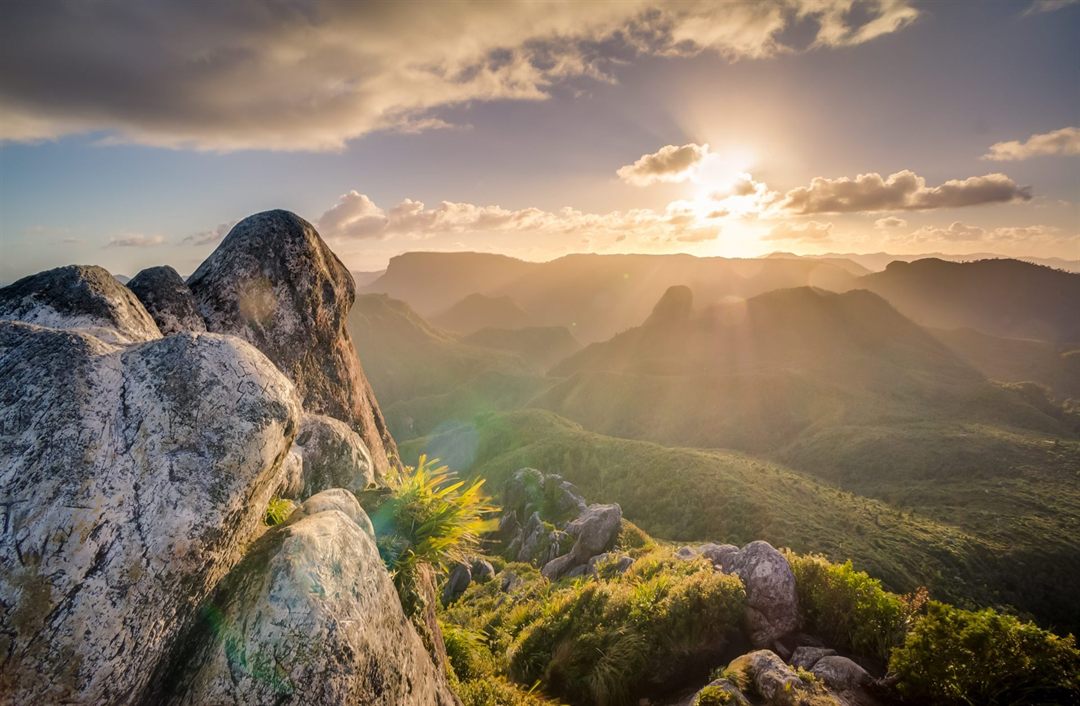 Nature Photography: How to Capture Nature's Beauty on a Hike