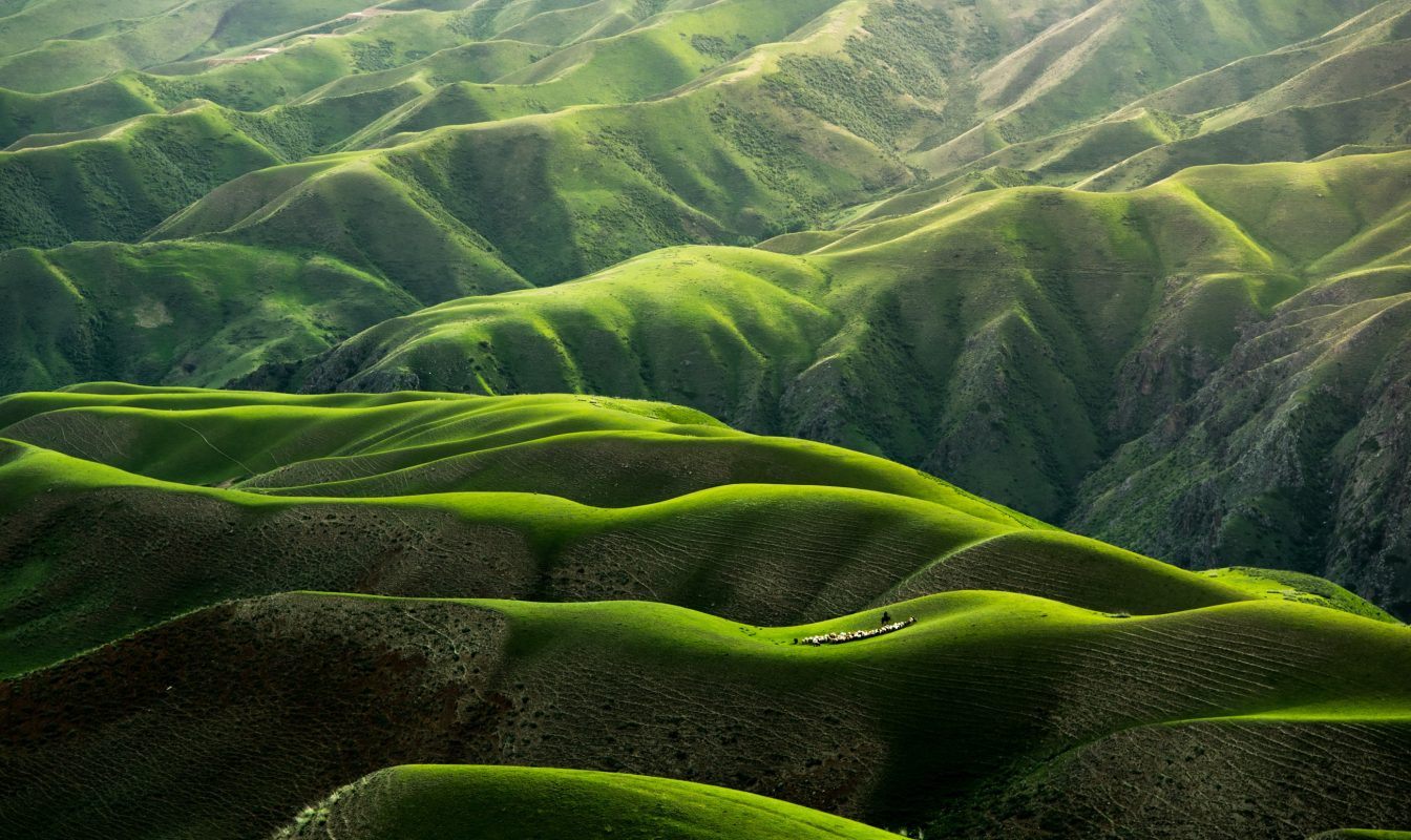 Golden Hour Nature Photography