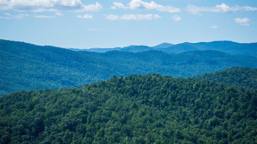 New River Gorge National Park: Explore the Hidden Gems Beyond the Bridge