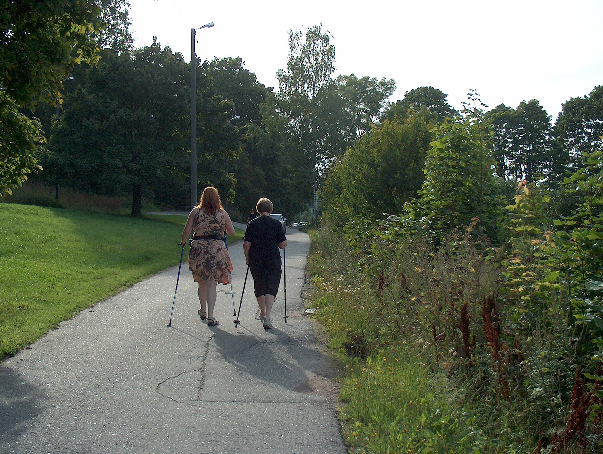 Walkers demonstrating the use of Nordic walking poles
