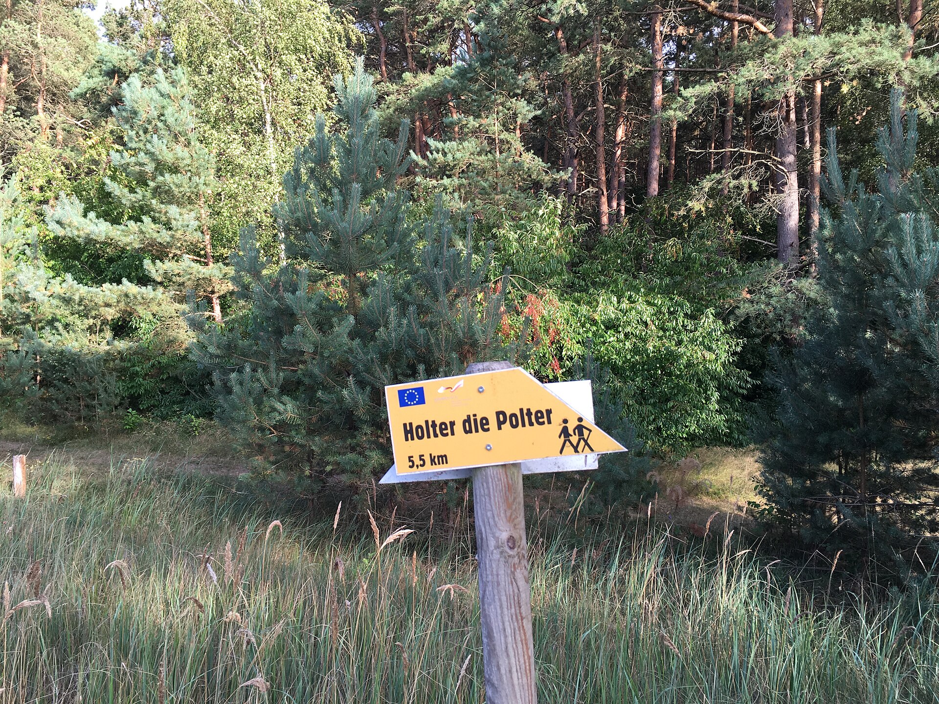 A marked Nordic walking route through woodland