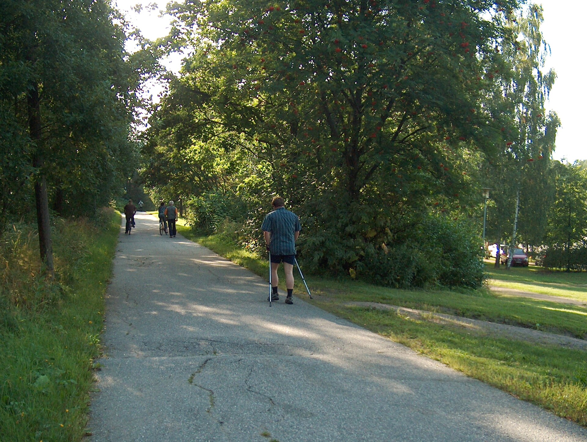 Nordic walkers moving along a path in Helsinki