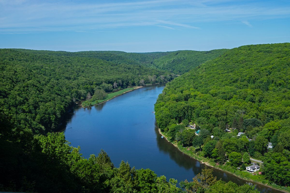 Allegheny National Forest