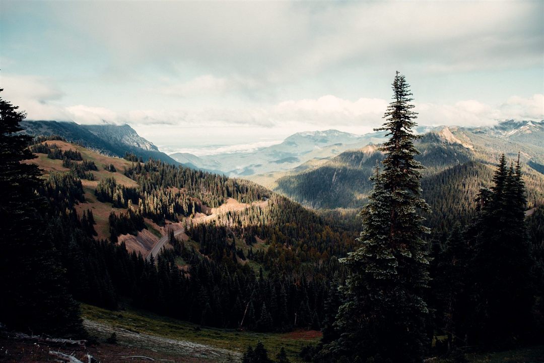National Park Guide: Olympic National Park