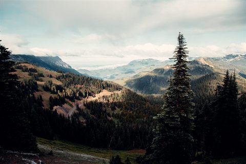 National Park Guide: Olympic National Park