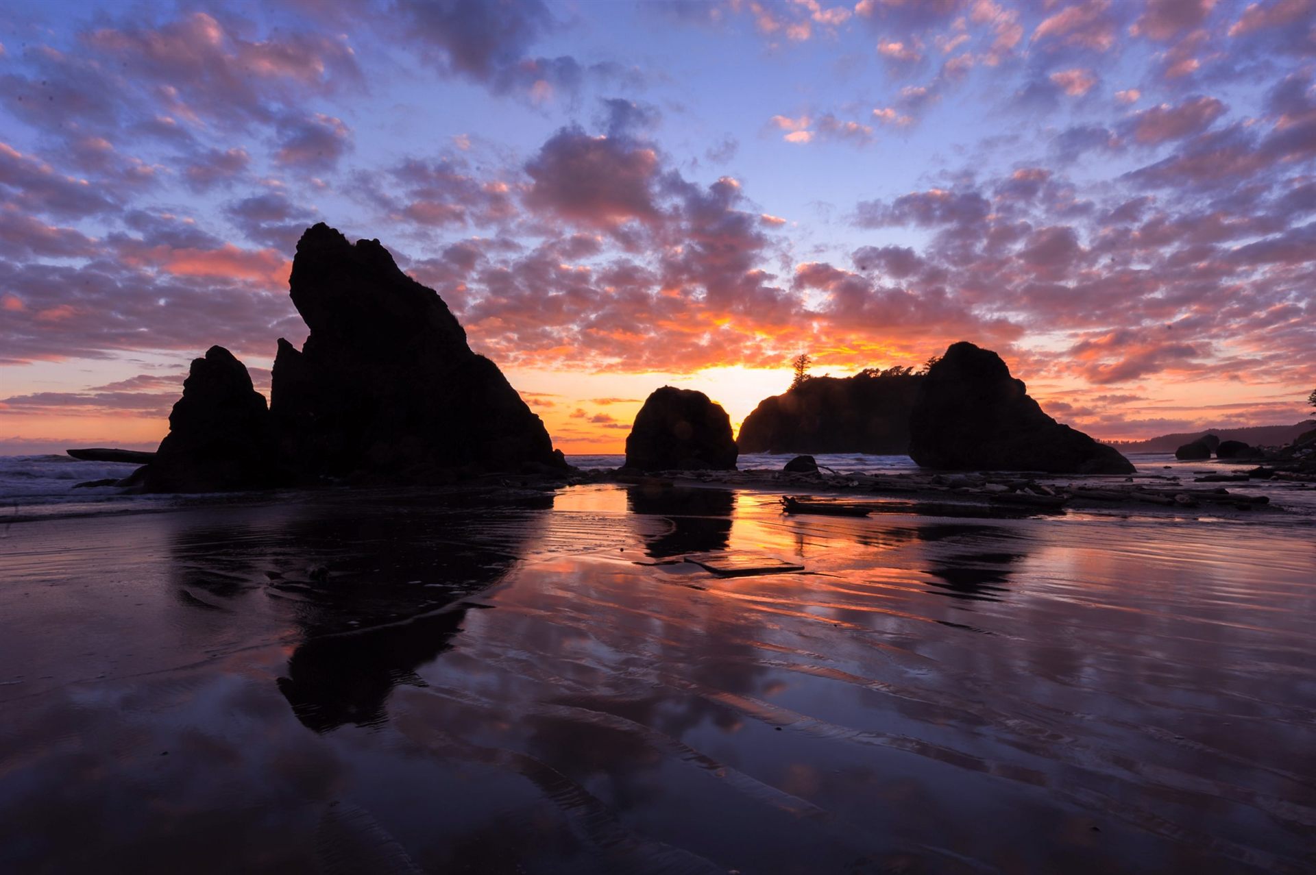 Sunset in Olympic NP, Washington