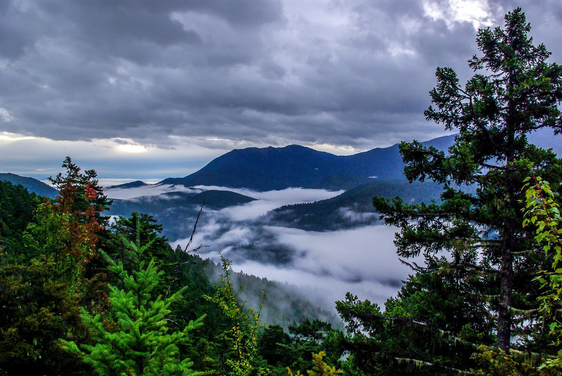 Hurricane Ridge in Olympic NP