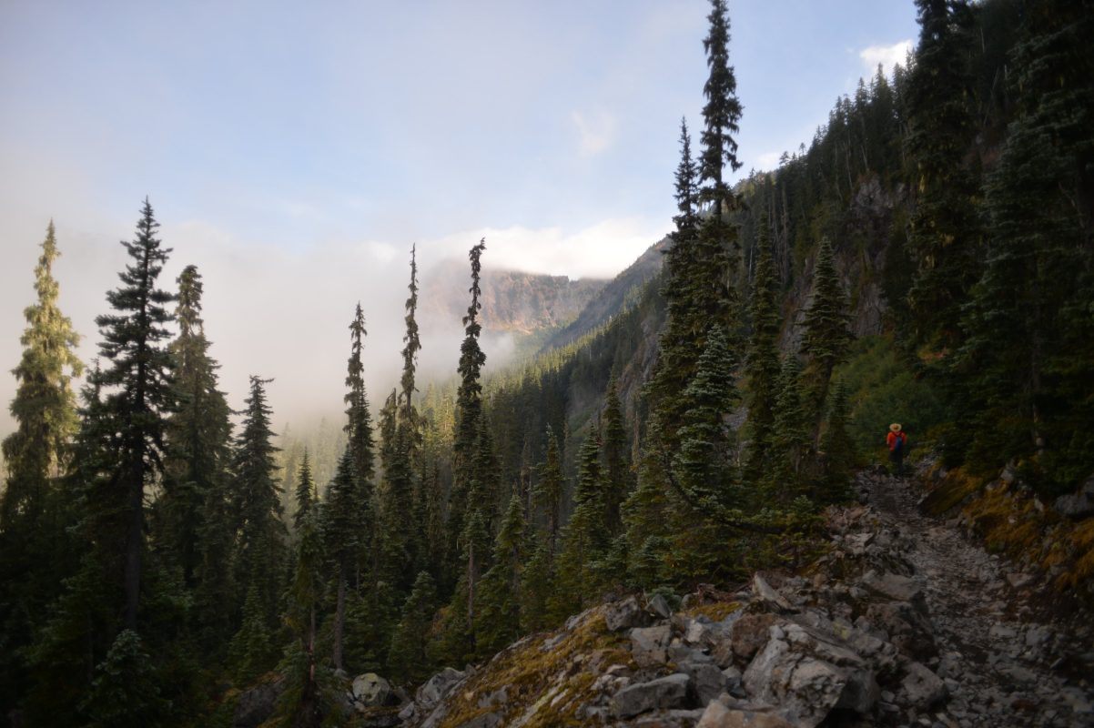 Nature section at the Pacific Crest Trail