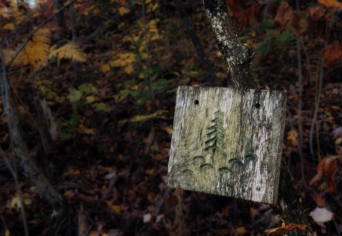 Trail Marker along the PCT trail