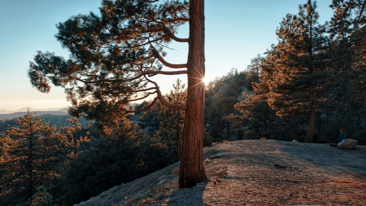 Angeles National Forest