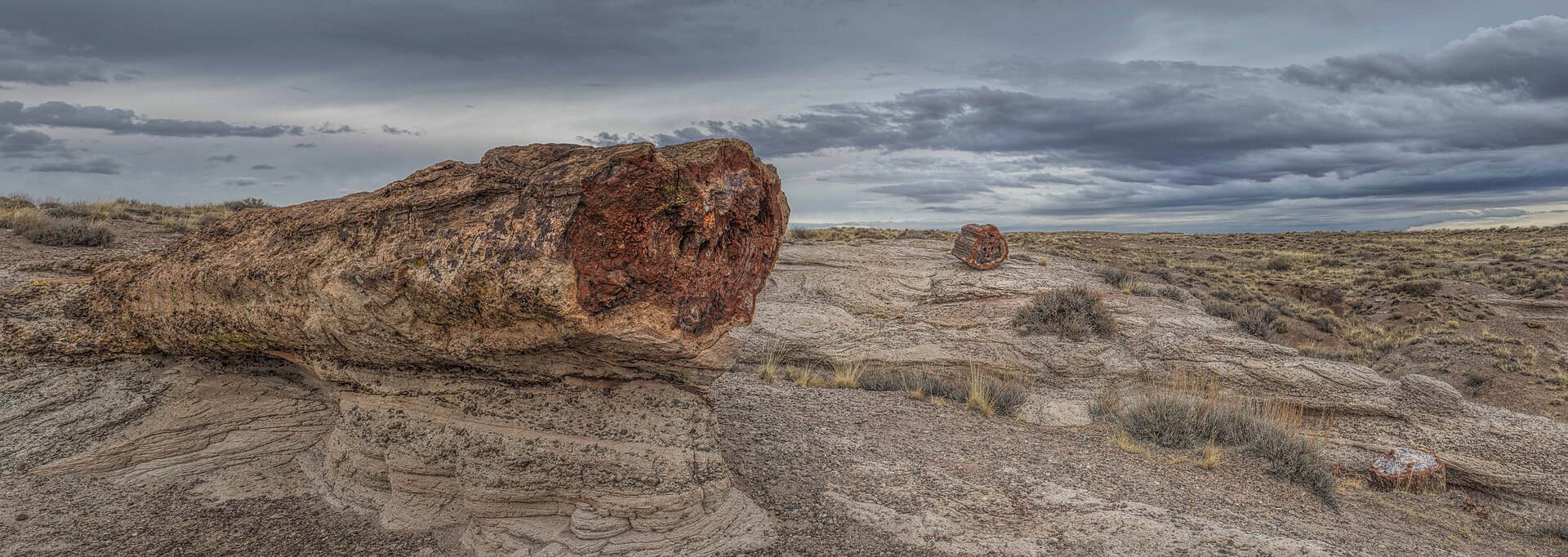 A petrified log overlooking the colorful badlands of Blue Mesa