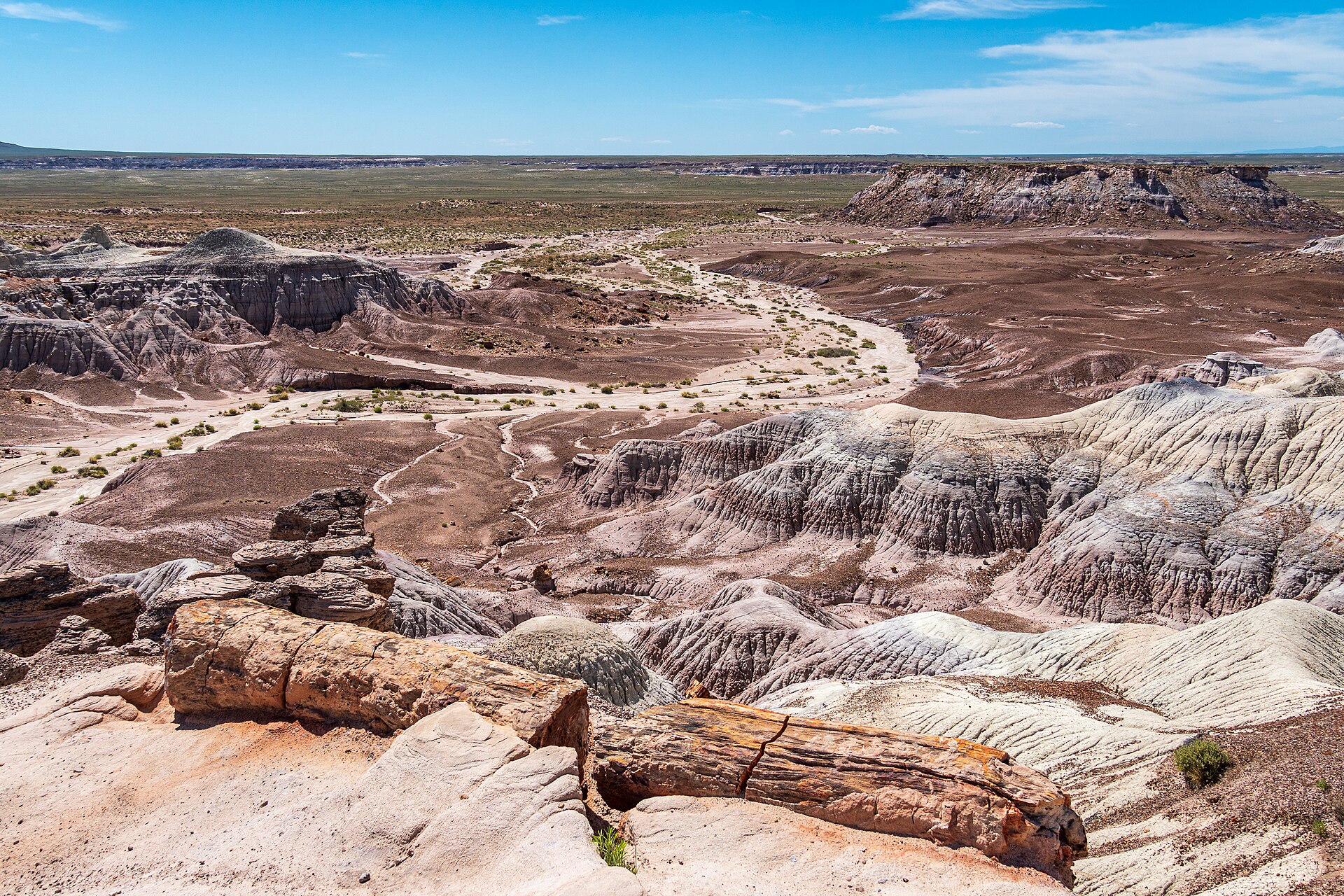 The layered landscape of Blue Mesa in Petrified Forest National Park