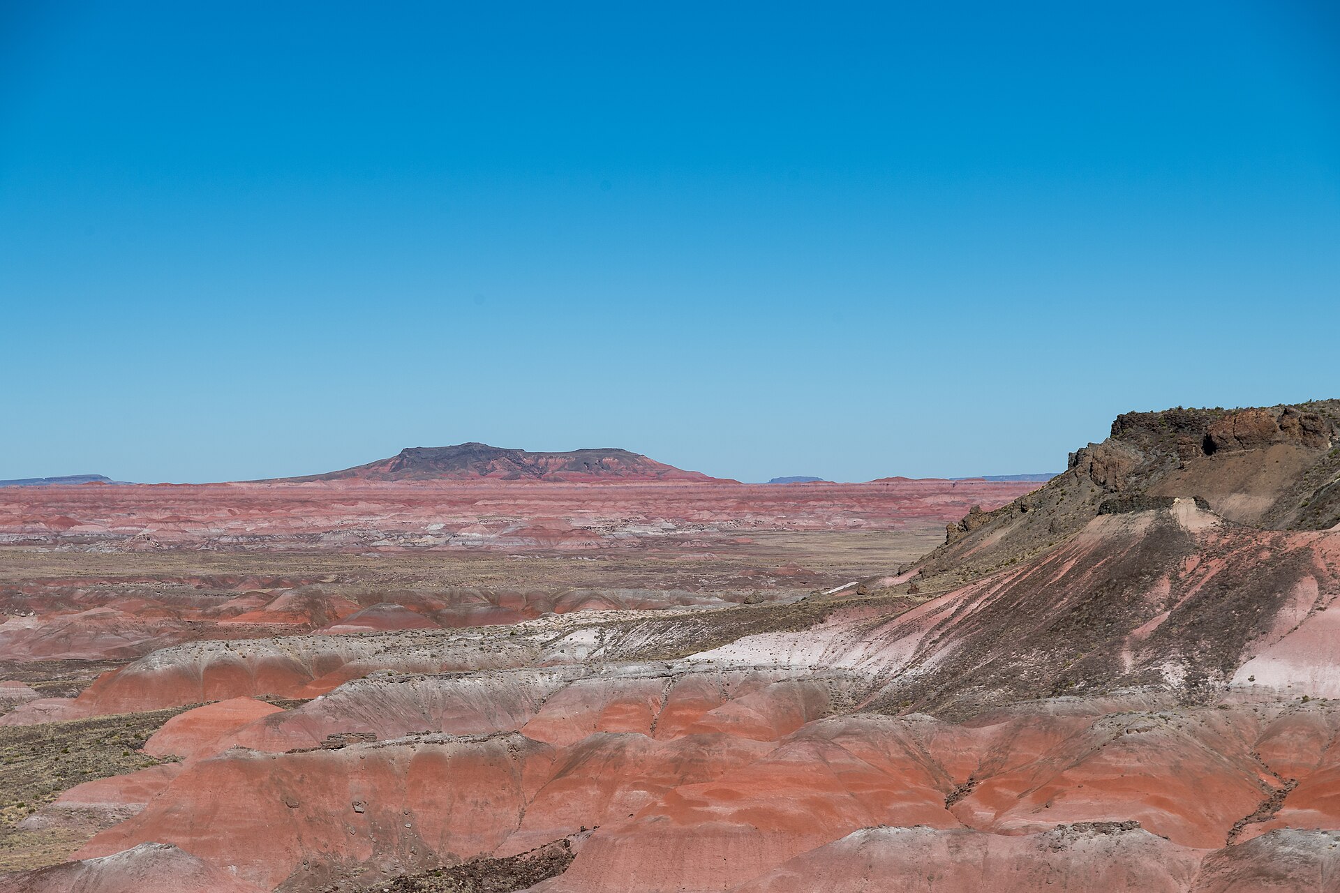 Colorful formations across the Painted Desert
