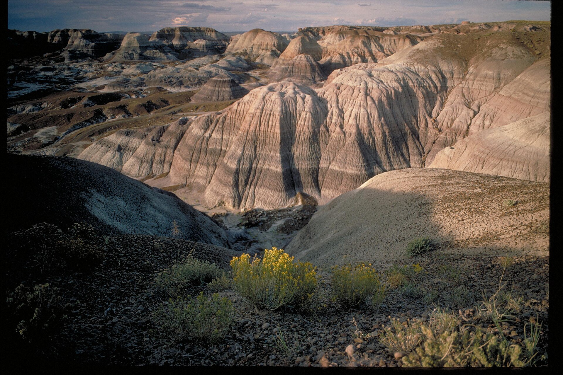 A wide Painted Desert view in Petrified Forest National Park