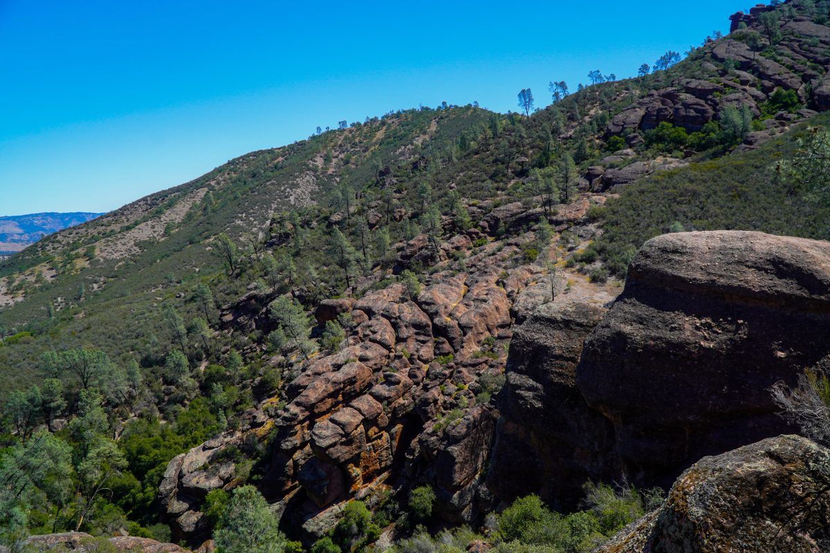 Pinnacles National Park Landscape