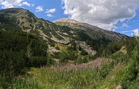 Exploring Pirin National Park near Bansko, Bulgaria