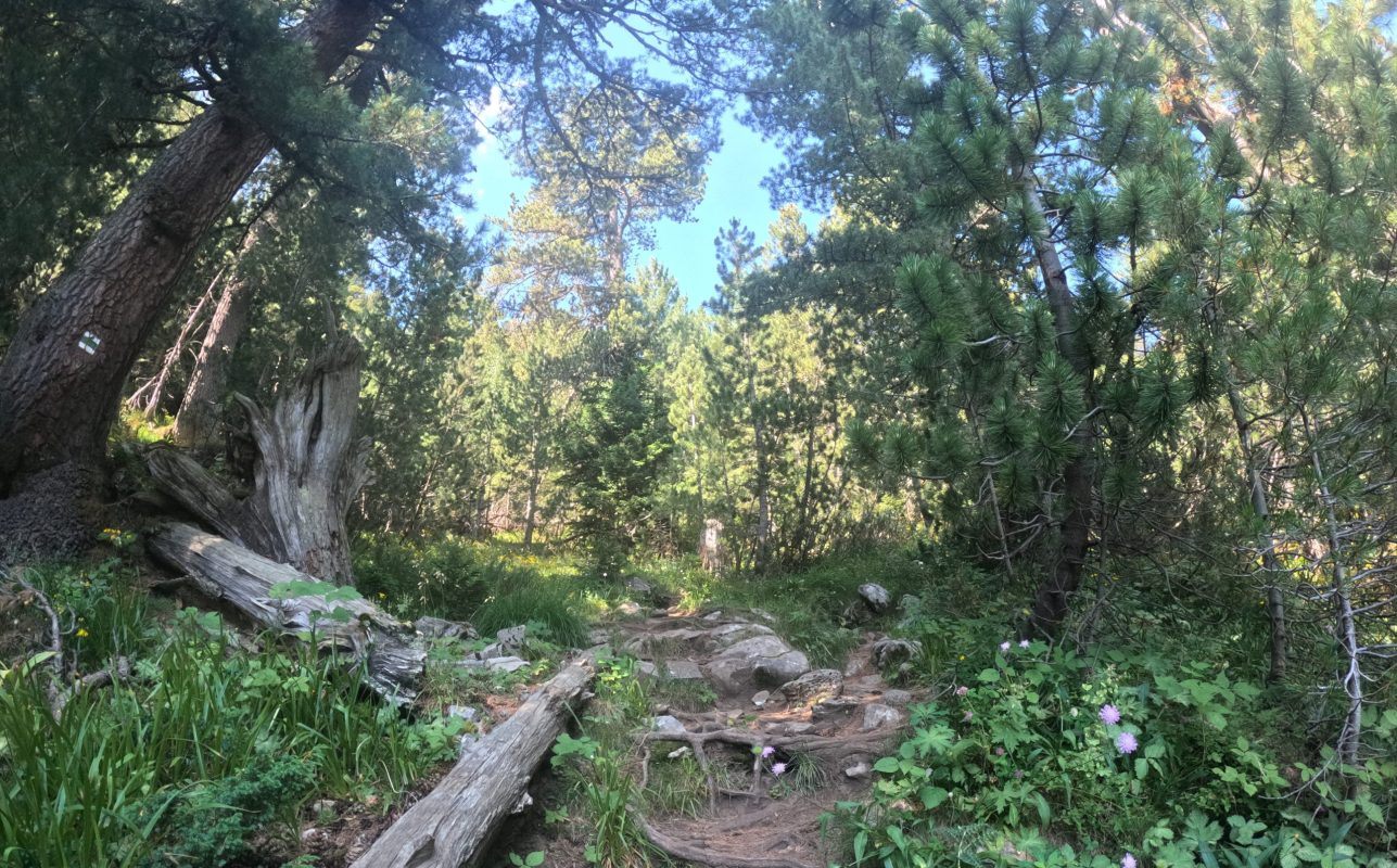Trail from Bansko