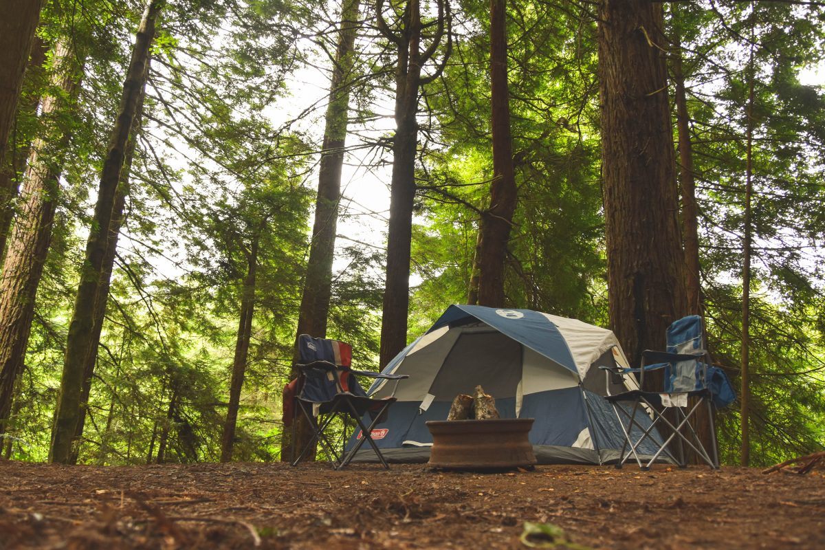 Camping in Redwood National Park