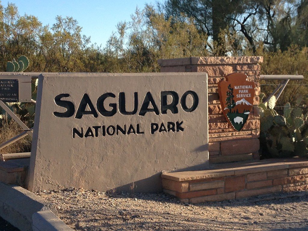 Saguaro National Park