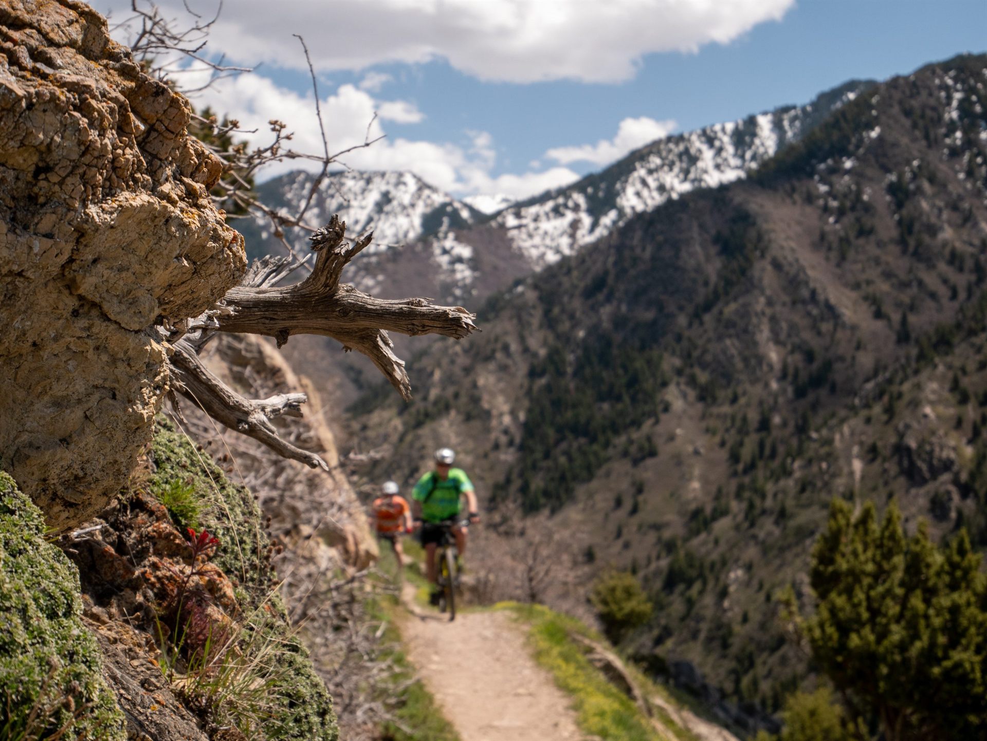 rattlesnake gulch
