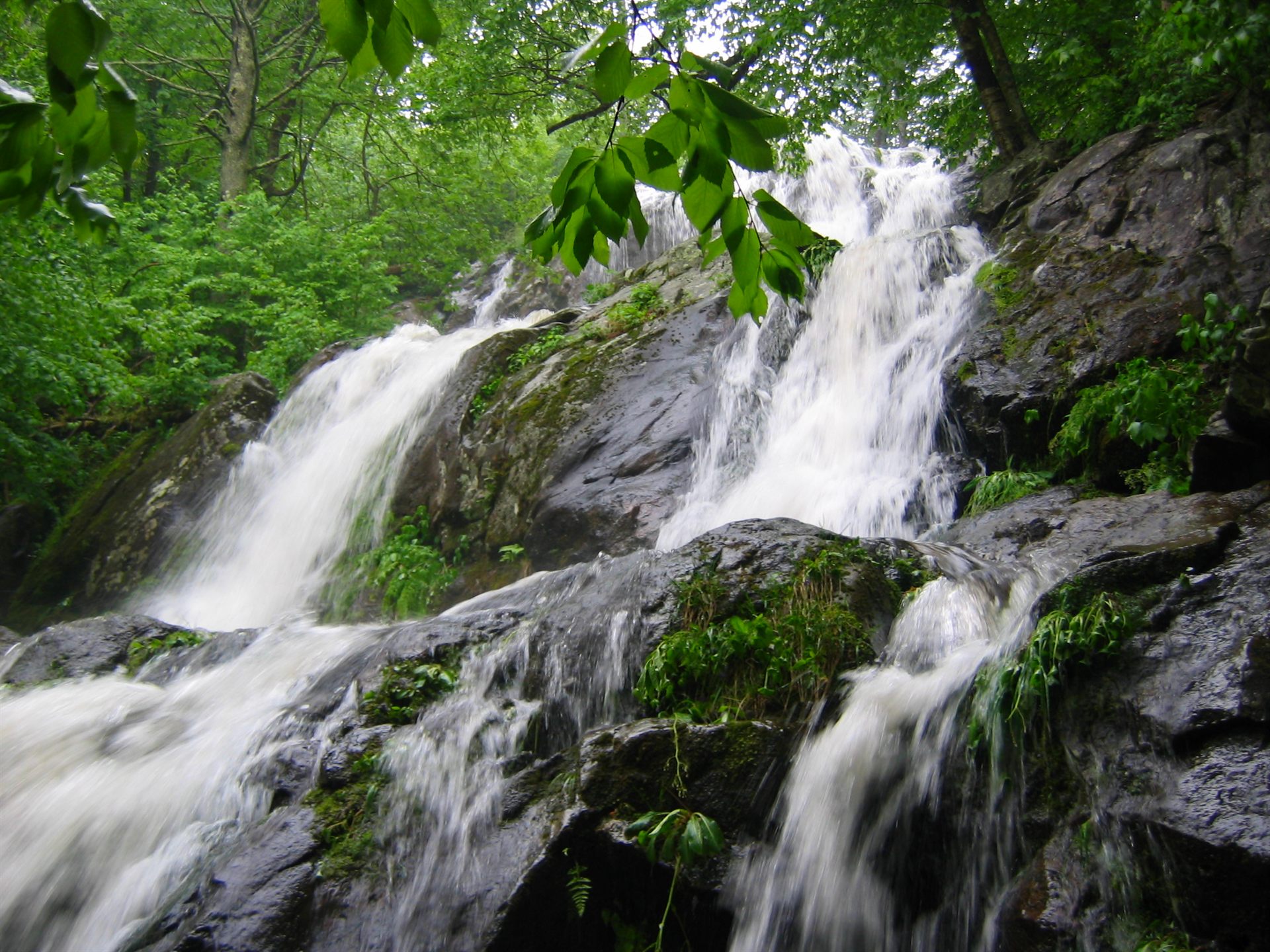Shenandoah National Park