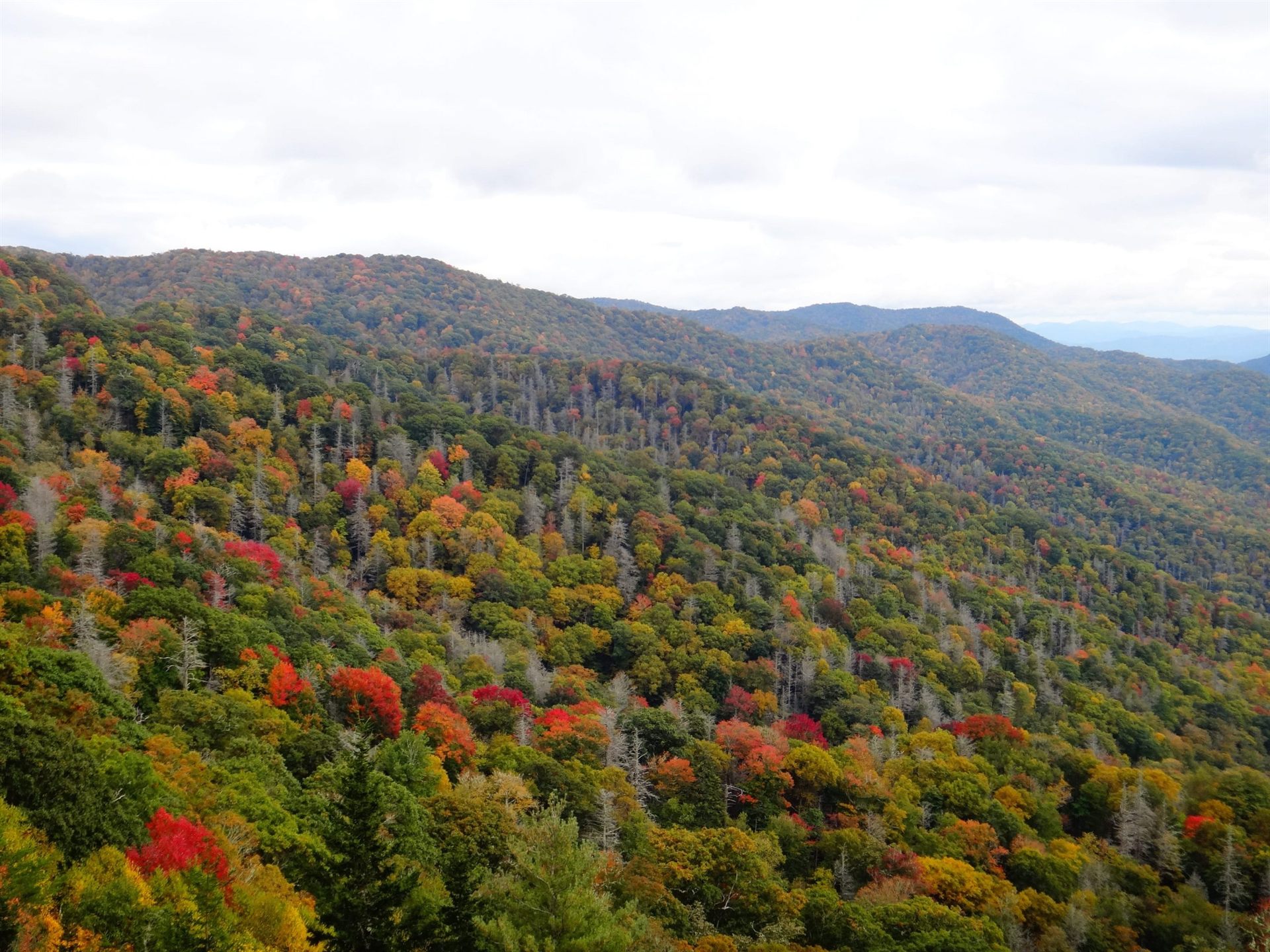 Smoky Mountains in Autumn