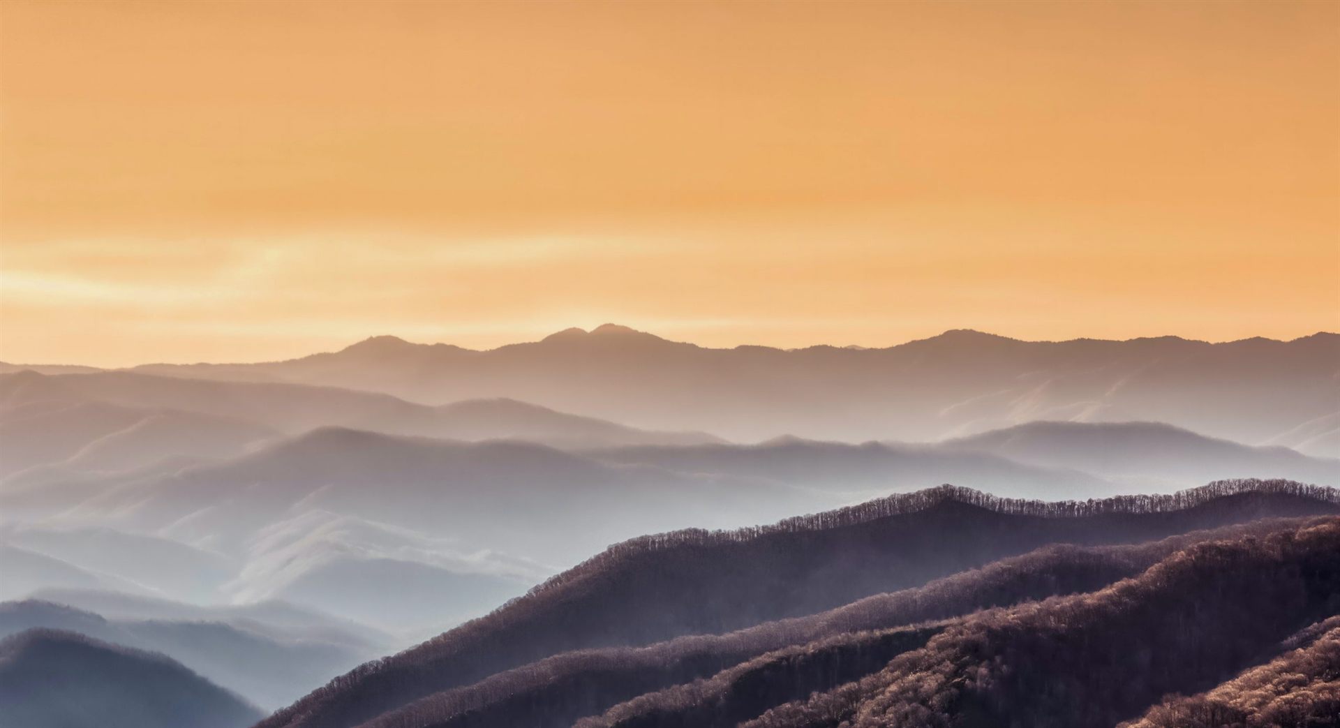 Golden Hour in the Smoky Mountains