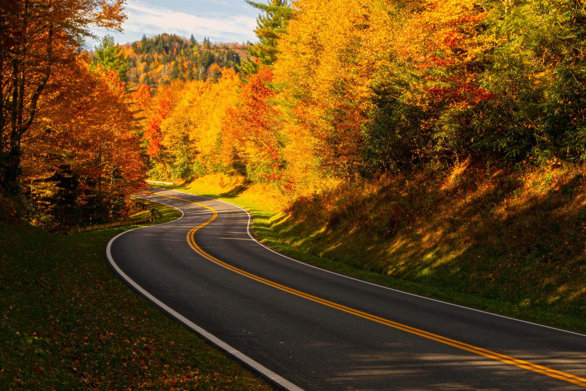 Road in the Smokies