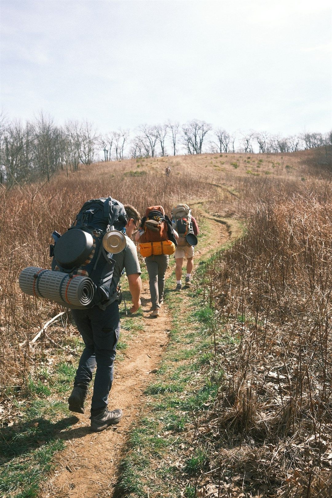 Backpackers following a mountain trail through the Appalachian landscape