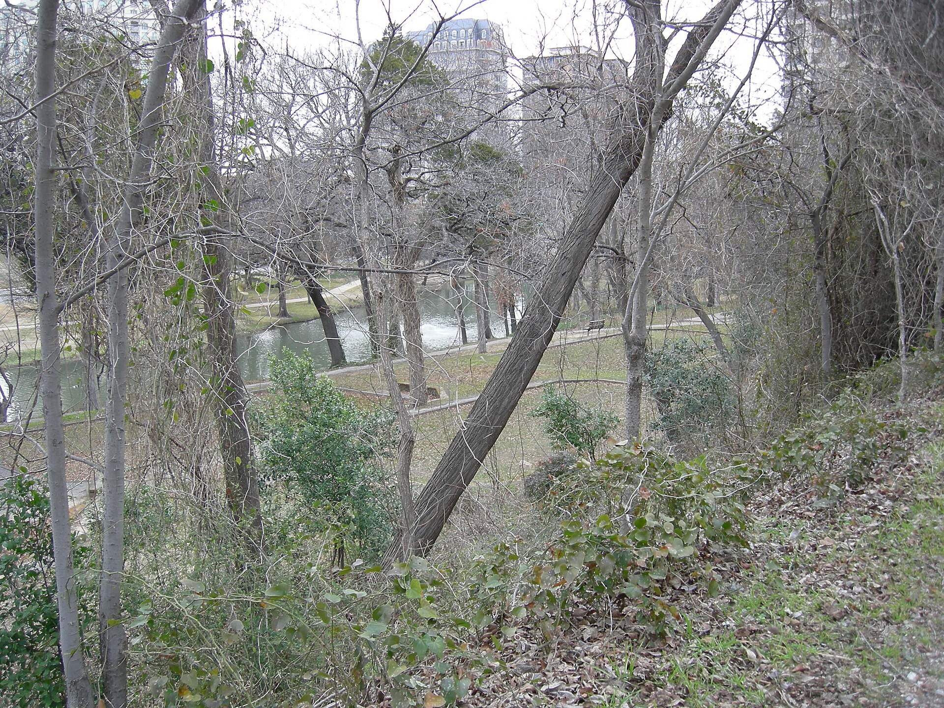 A wooded section near the Katy Trail in Dallas