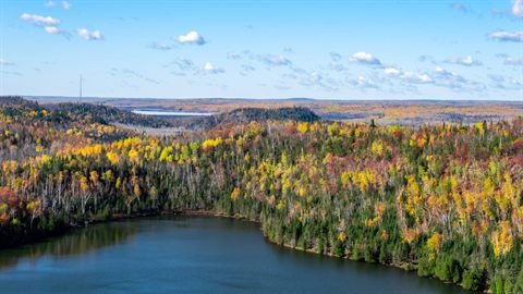 The Best Hikes near Minneapolis for Nature Lovers