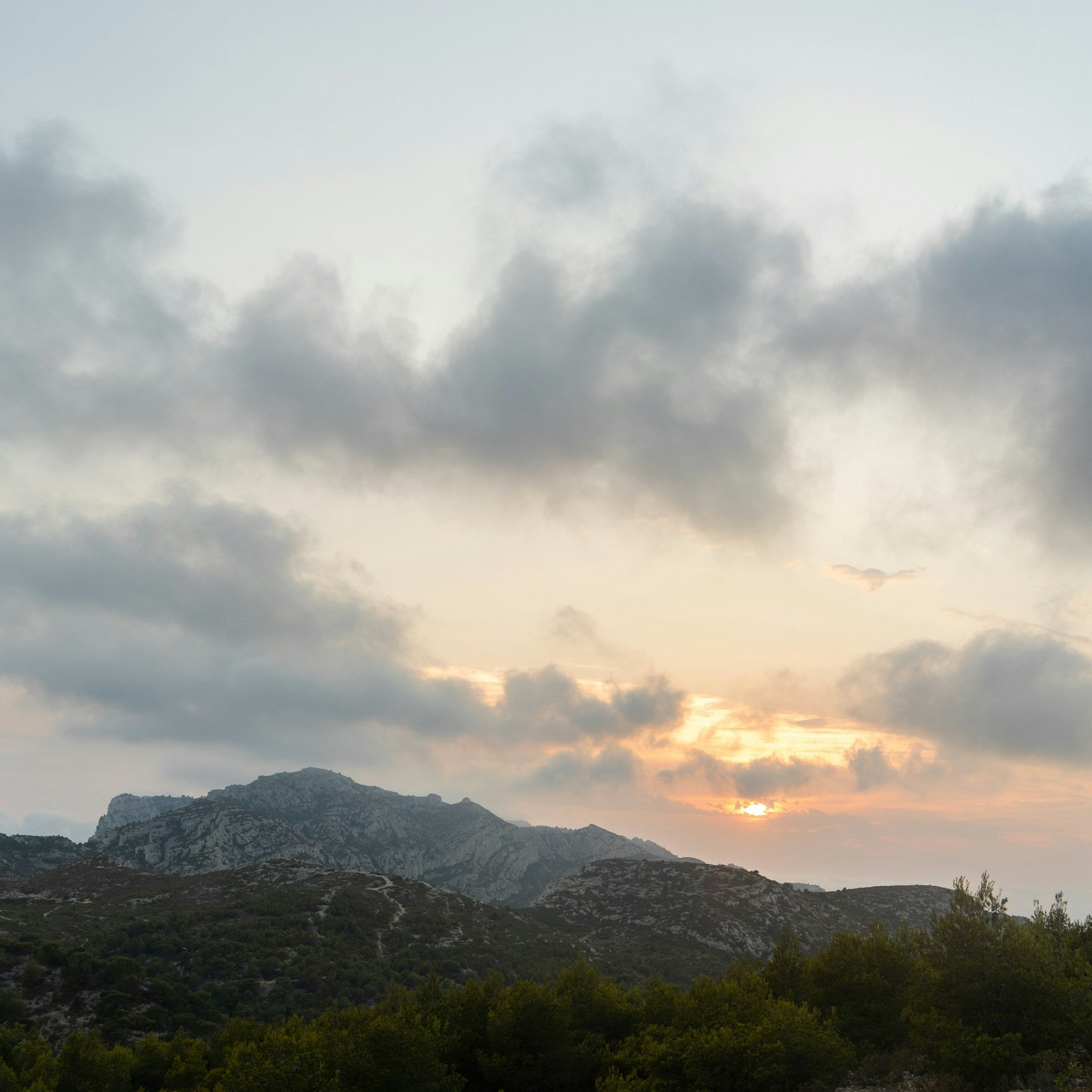 Limestone mountains and Mediterranean vegetation at sunset in Calanques National Park