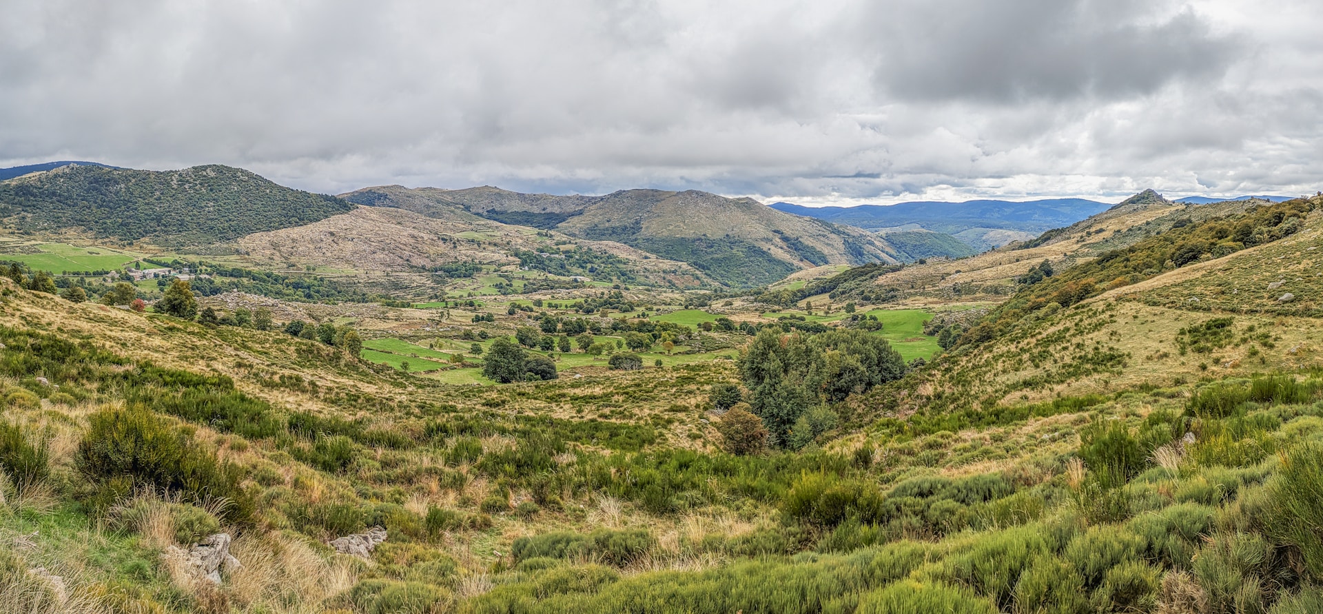 Rolling green and brown hills along the Stevenson Trail in the Cévennes