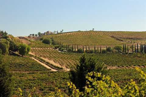 The Best Temecula Hiking Trails and Spots