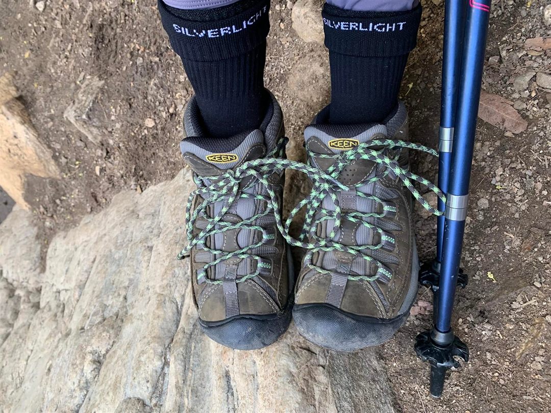 The Evolution of Socks