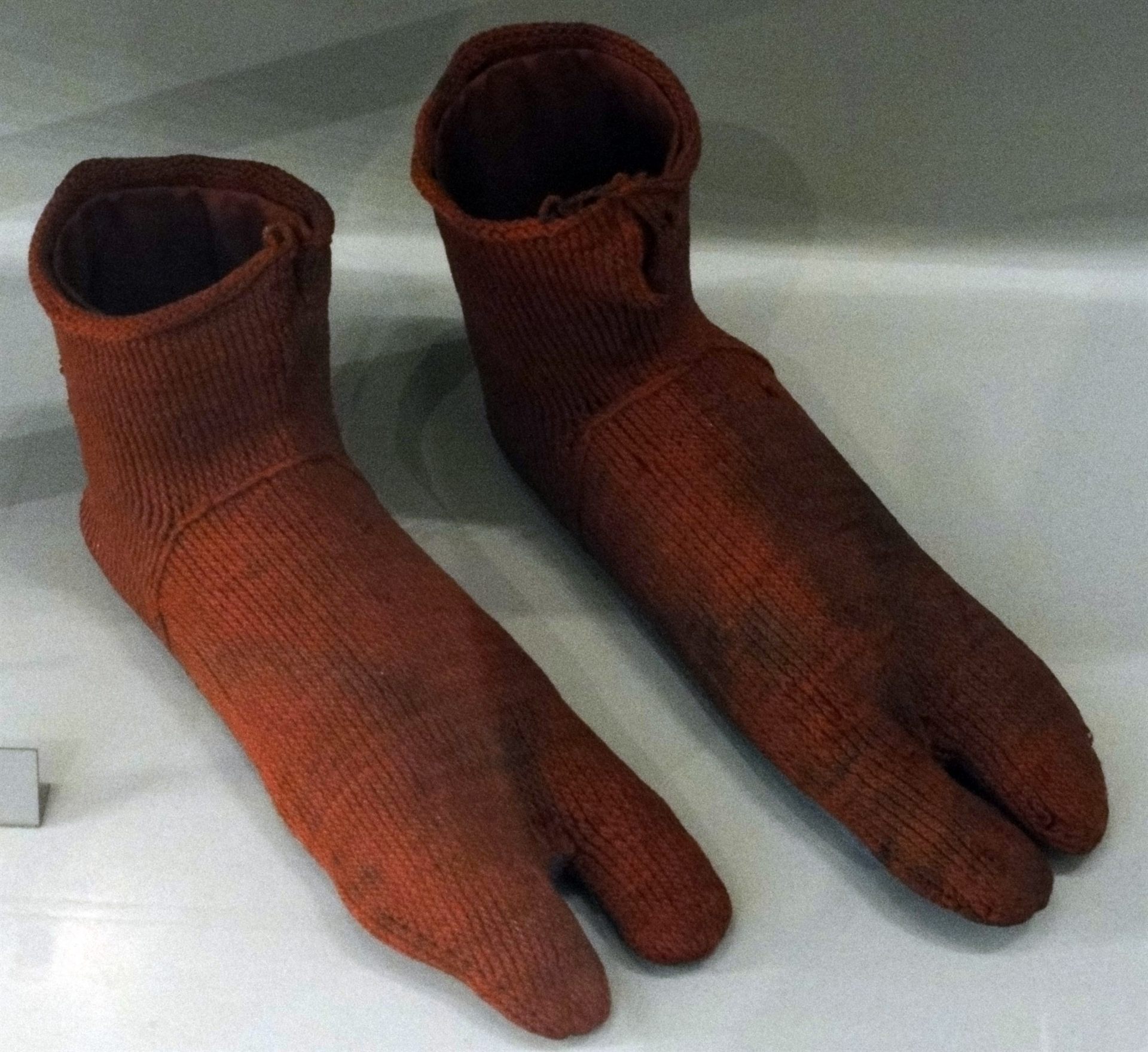 The Evolution of Socks