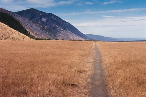 The Lost Coast Trail: Where the Land Meets the Sea