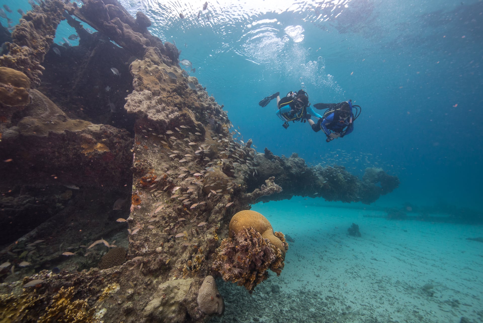 Divers exploring the Windjammer Wreck in Dry Tortugas