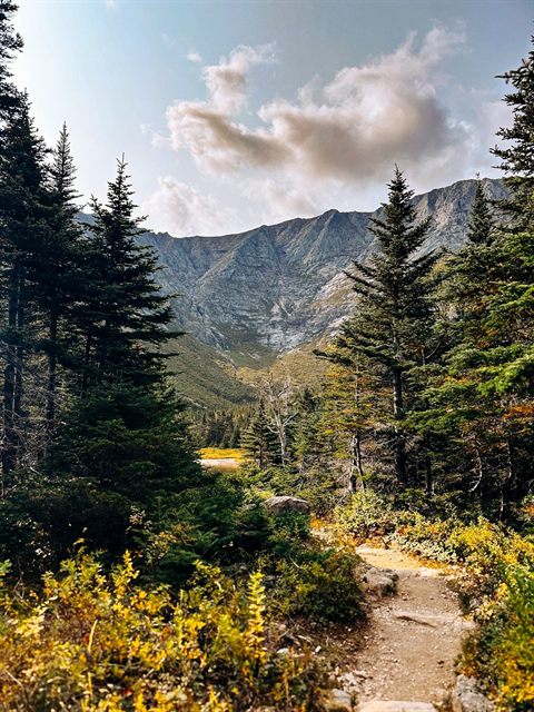 The Ultimate Grafton Loop Trail Experience