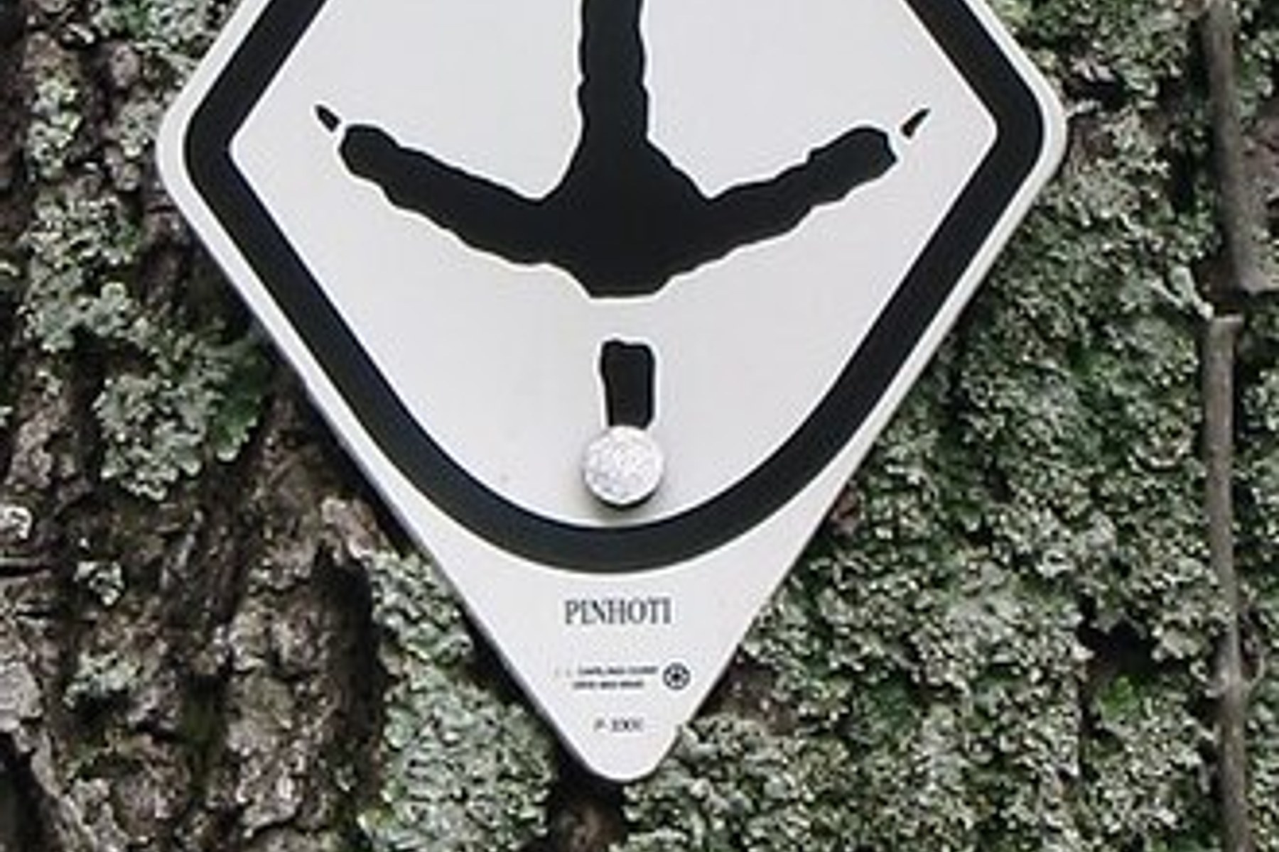 A Pinhoti Trail marker fixed to a tree