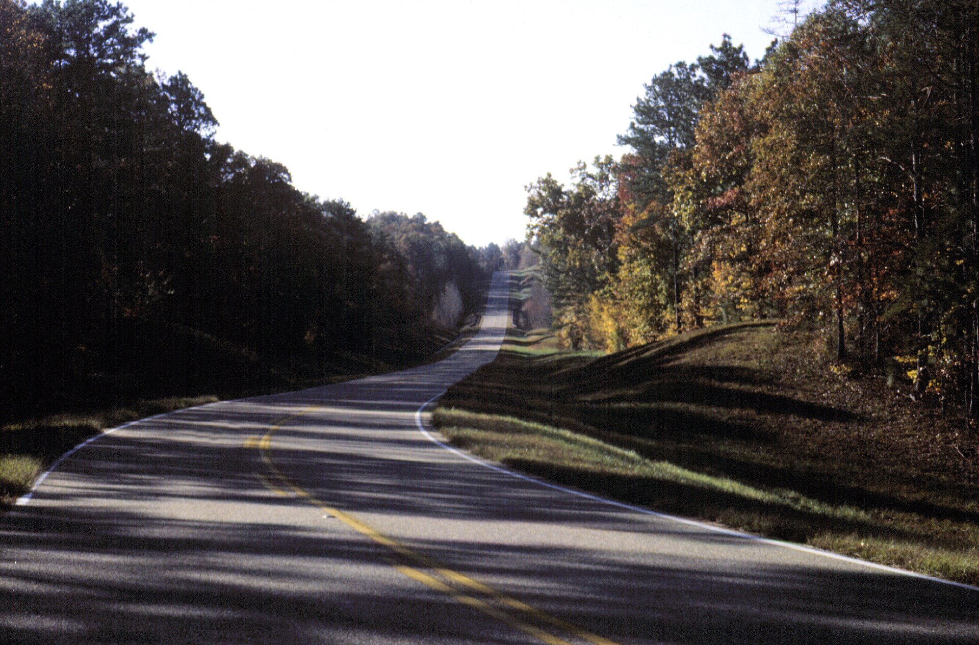 Talladega Scenic Drive winding through the national forest