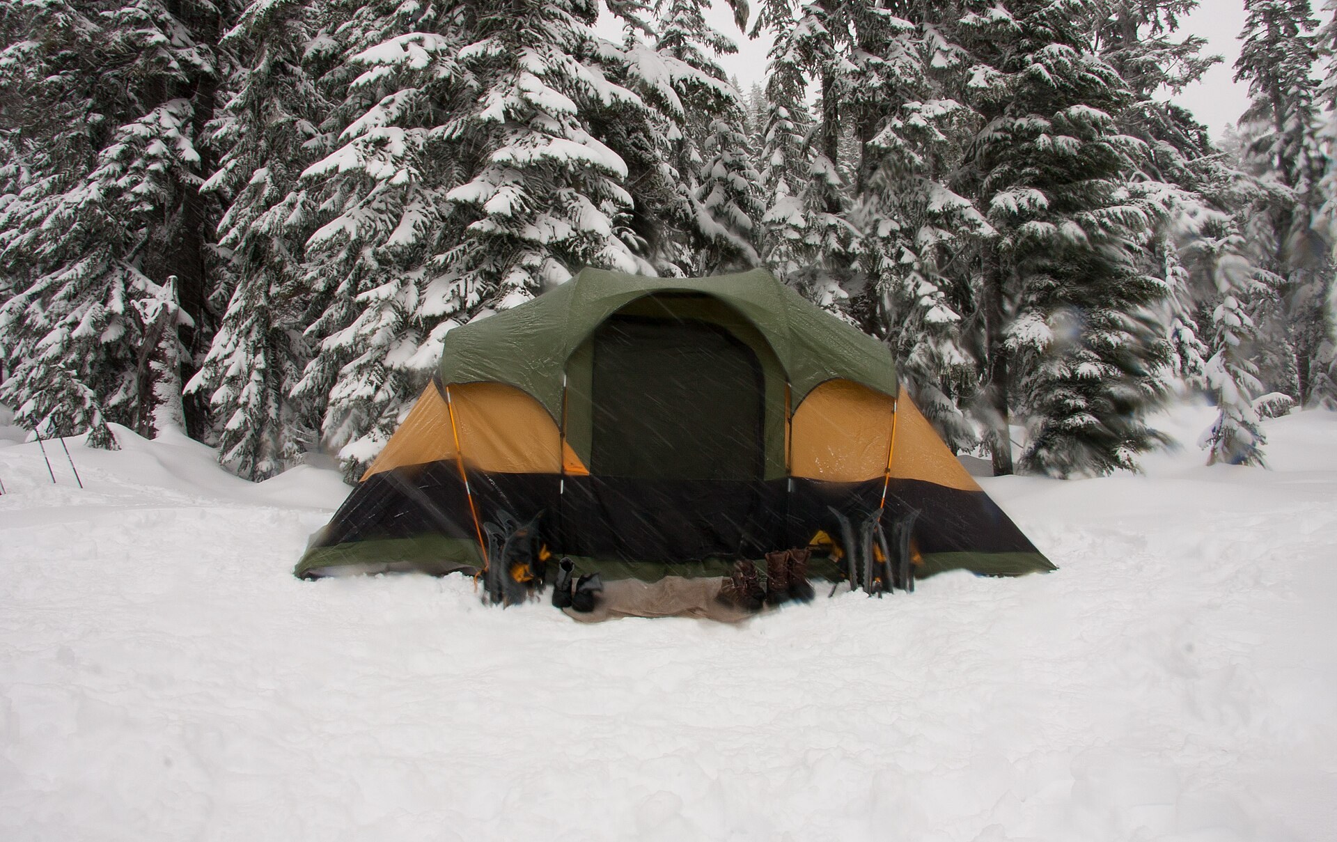 A tent pitched in the snow at Stevens Pass