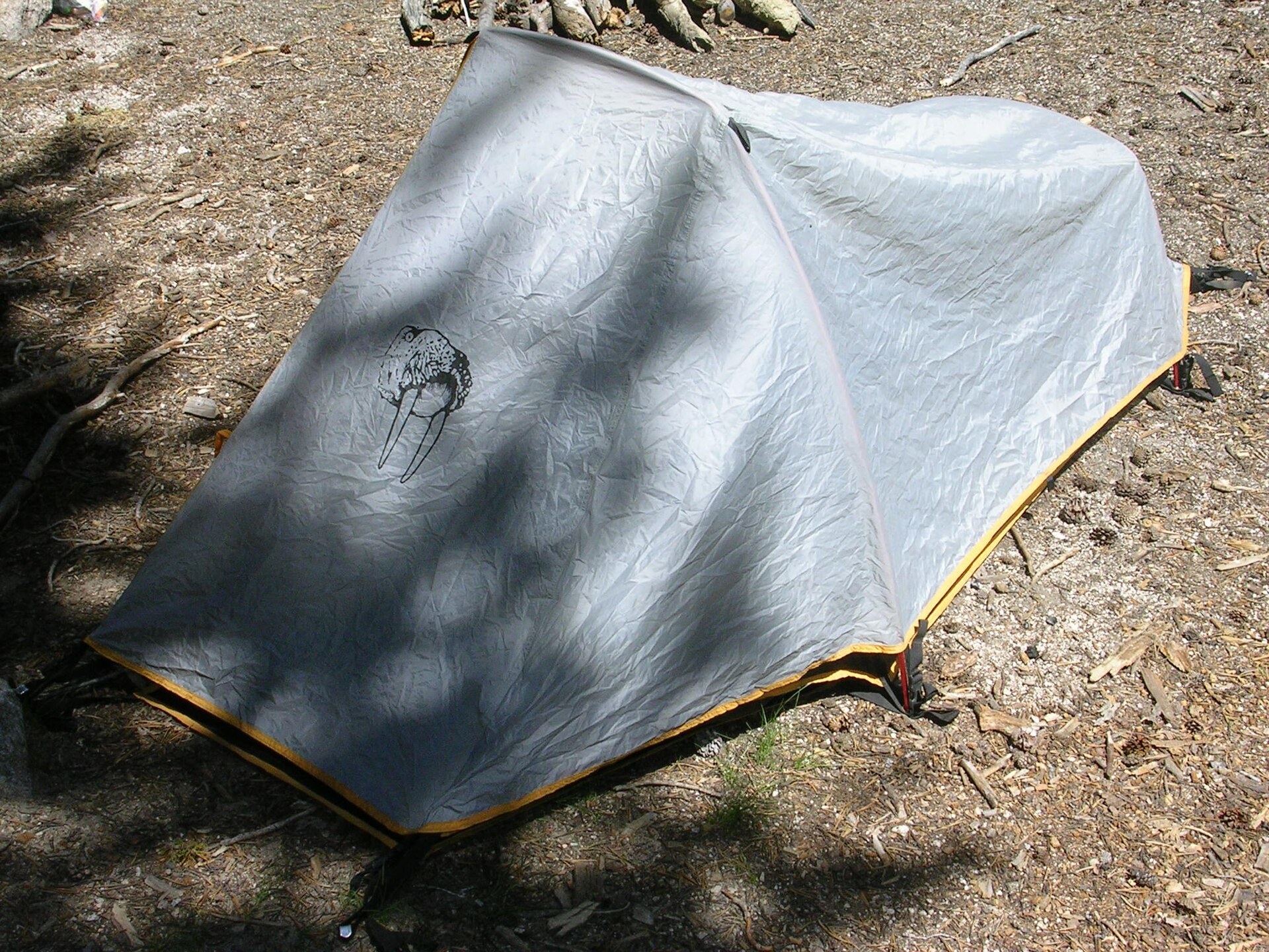 A backpacker's tent set up at camp