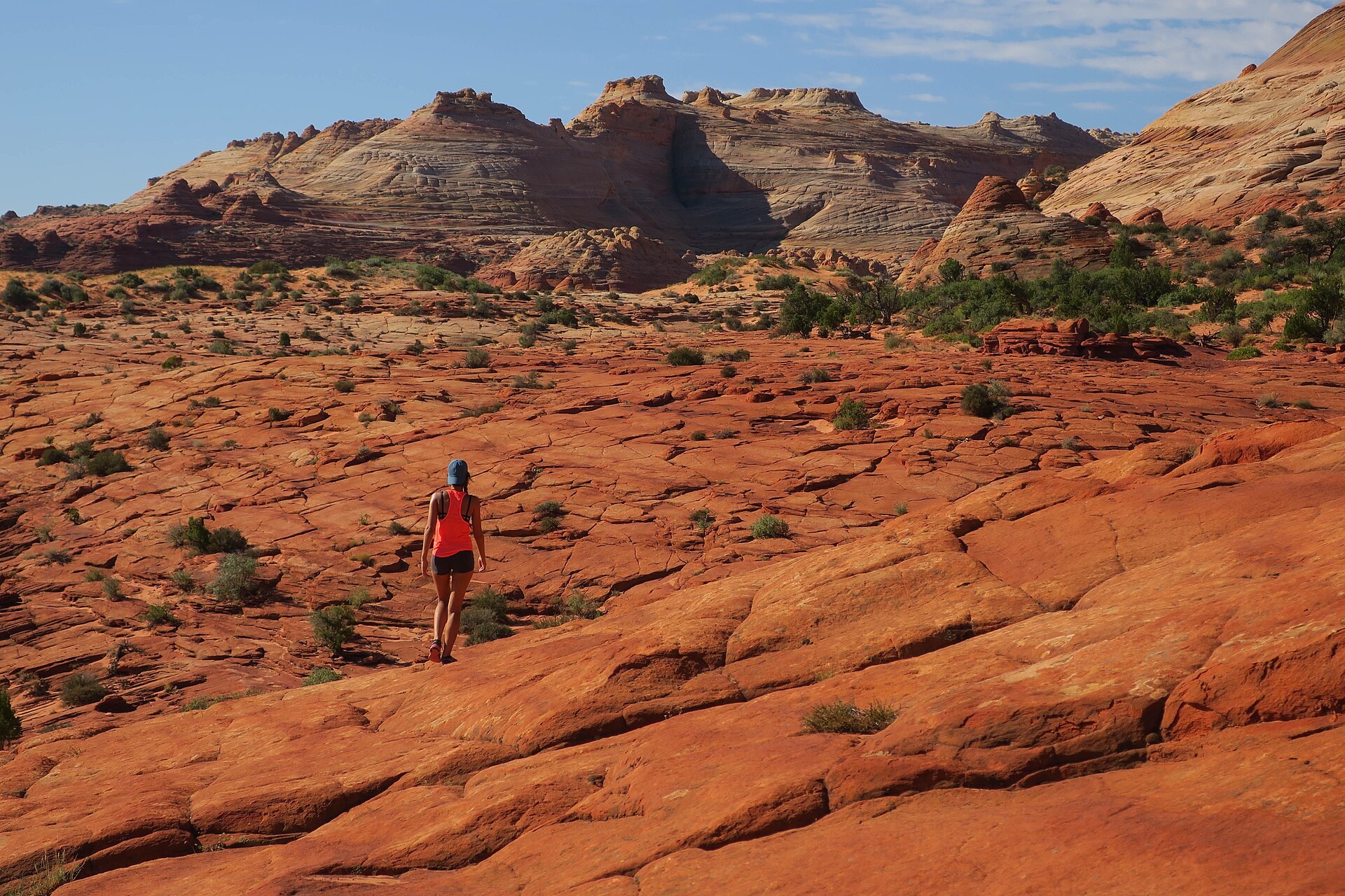 A solo hiker exploring a desert trail