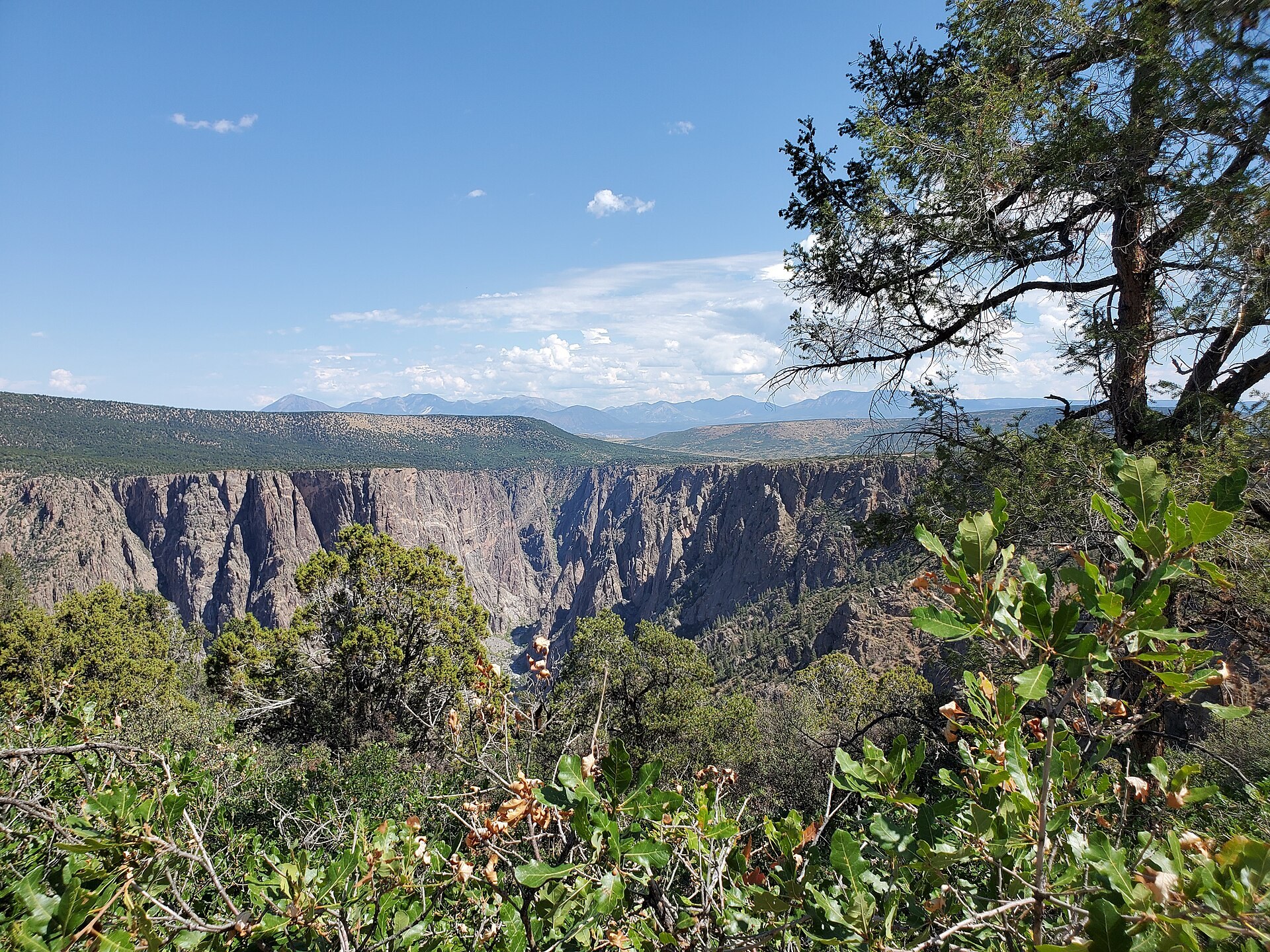 The Warner Point Nature Trail above Black Canyon