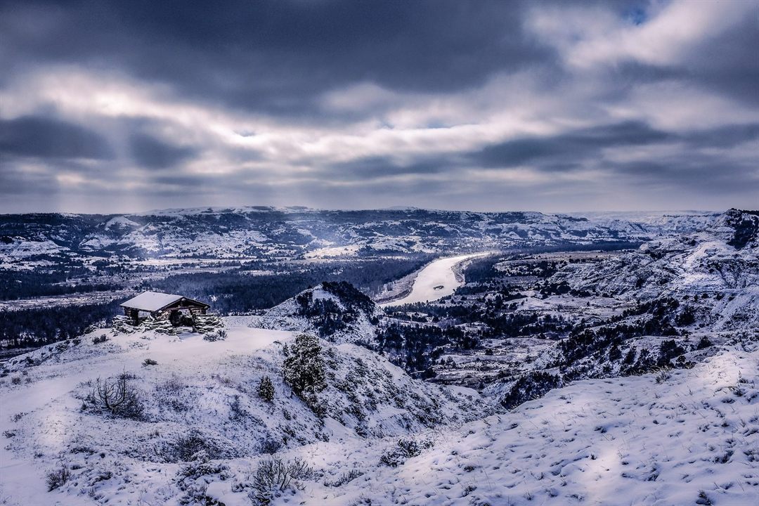 The Wild Side of America: Exploring the Untamed Beauty of Theodore Roosevelt National Park